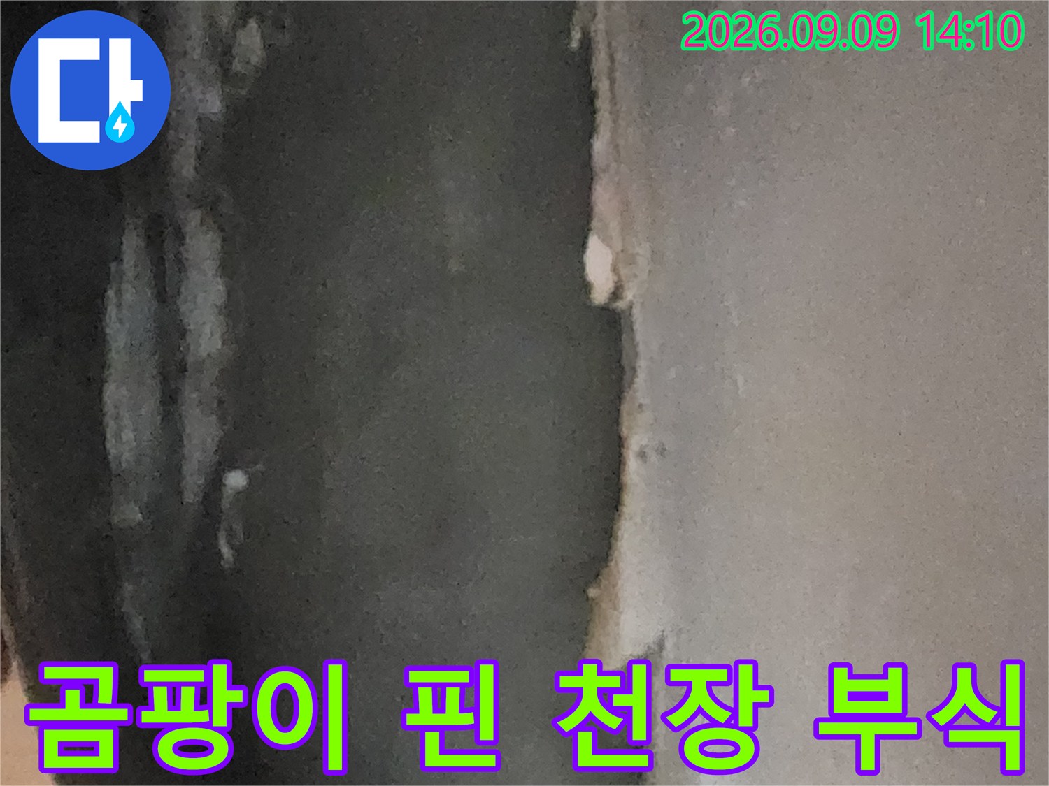 습기와 곰팡이로 인해 손상된 지하실 천장 마감재