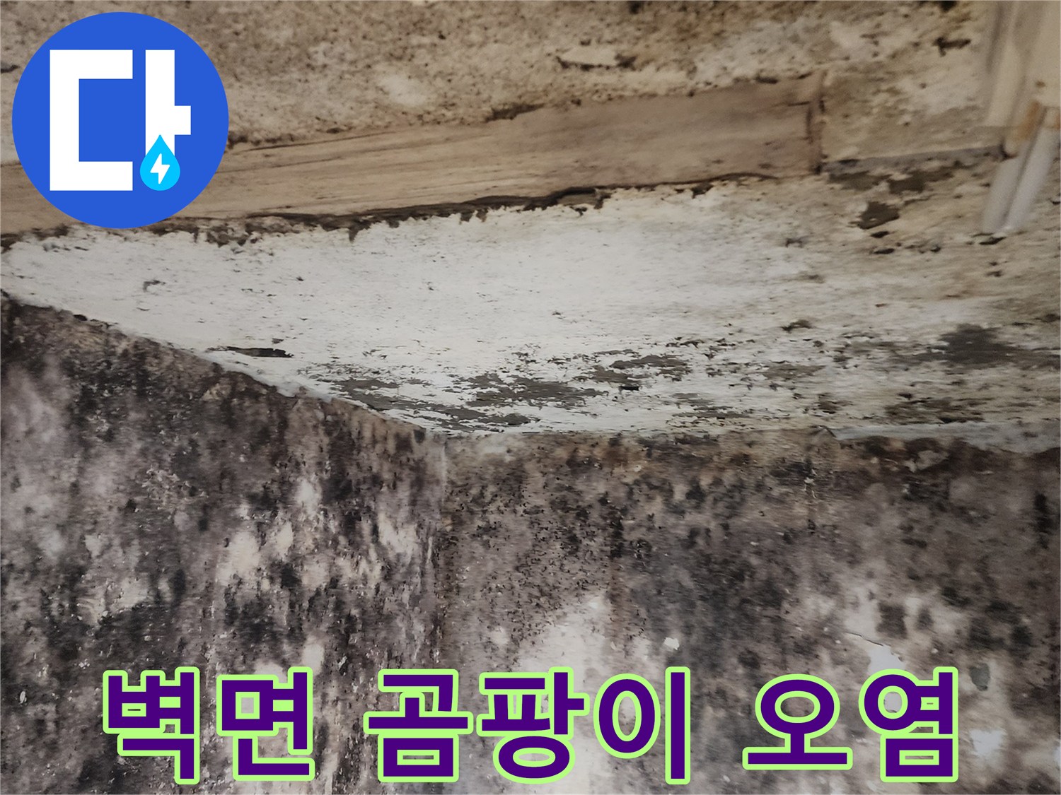 심한 습기로 인해-곰팡이가 번진 지하실 내부 벽체