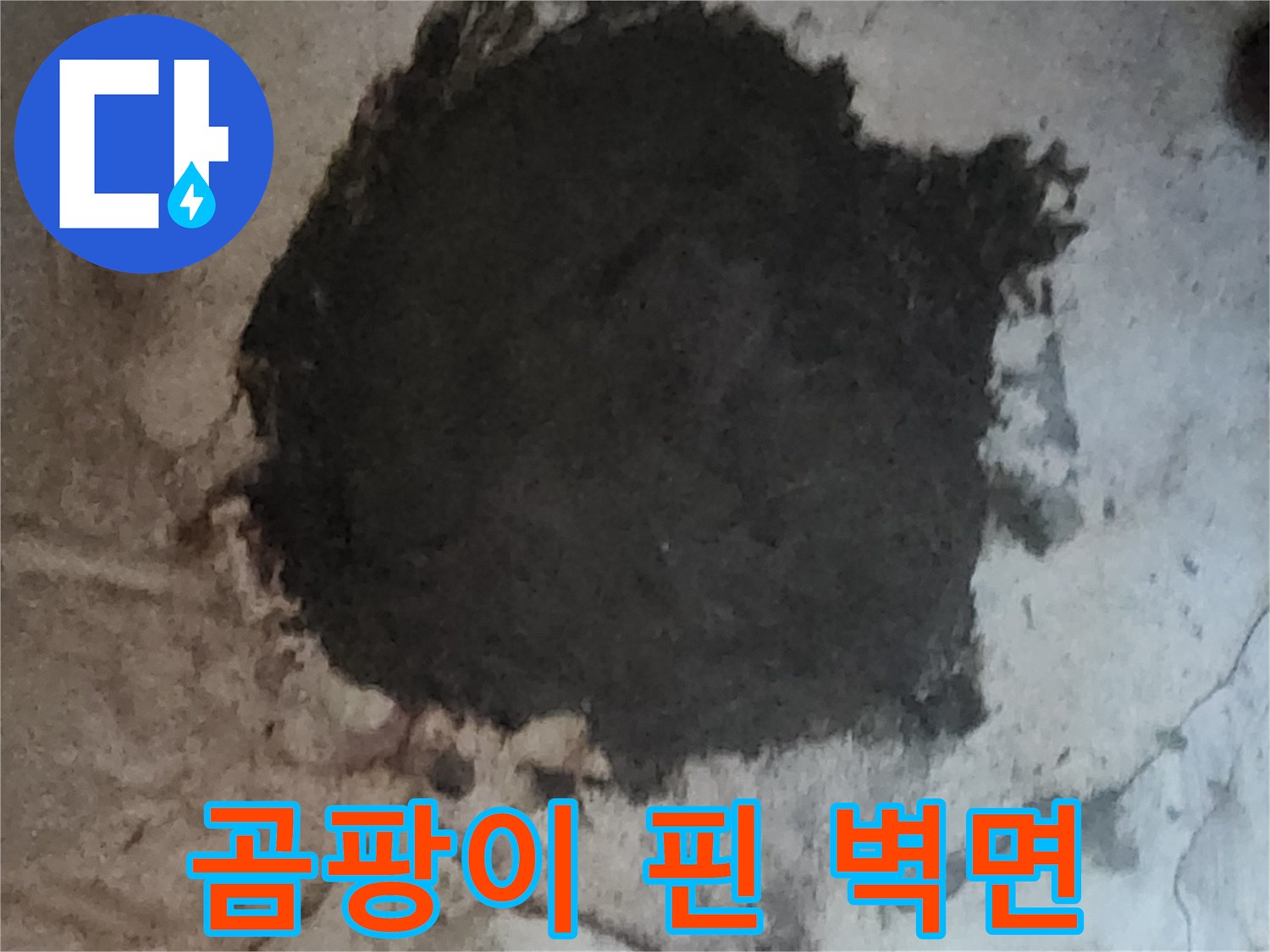 지하 벽면에 번진 곰팡이와 습한 마감재 상태를 근접 촬영한 사진