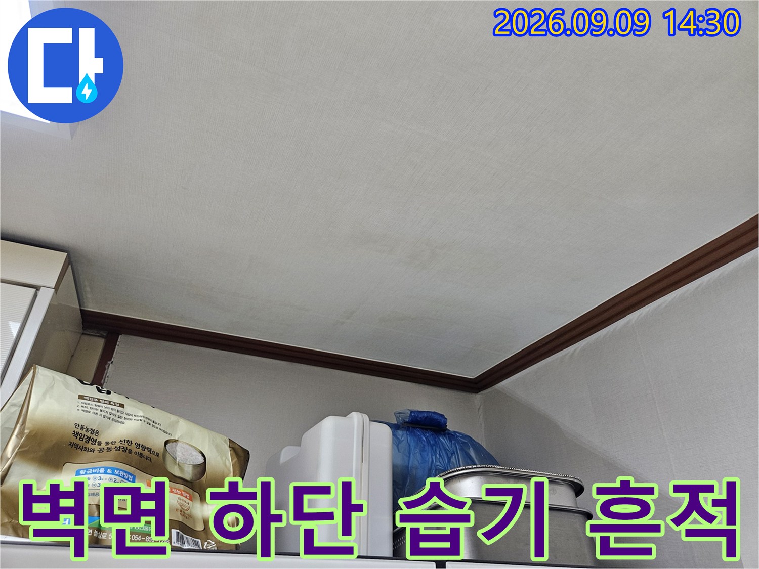 송파구 석촌동 현장의 벽면 하단부 습기와 얼룩 상태