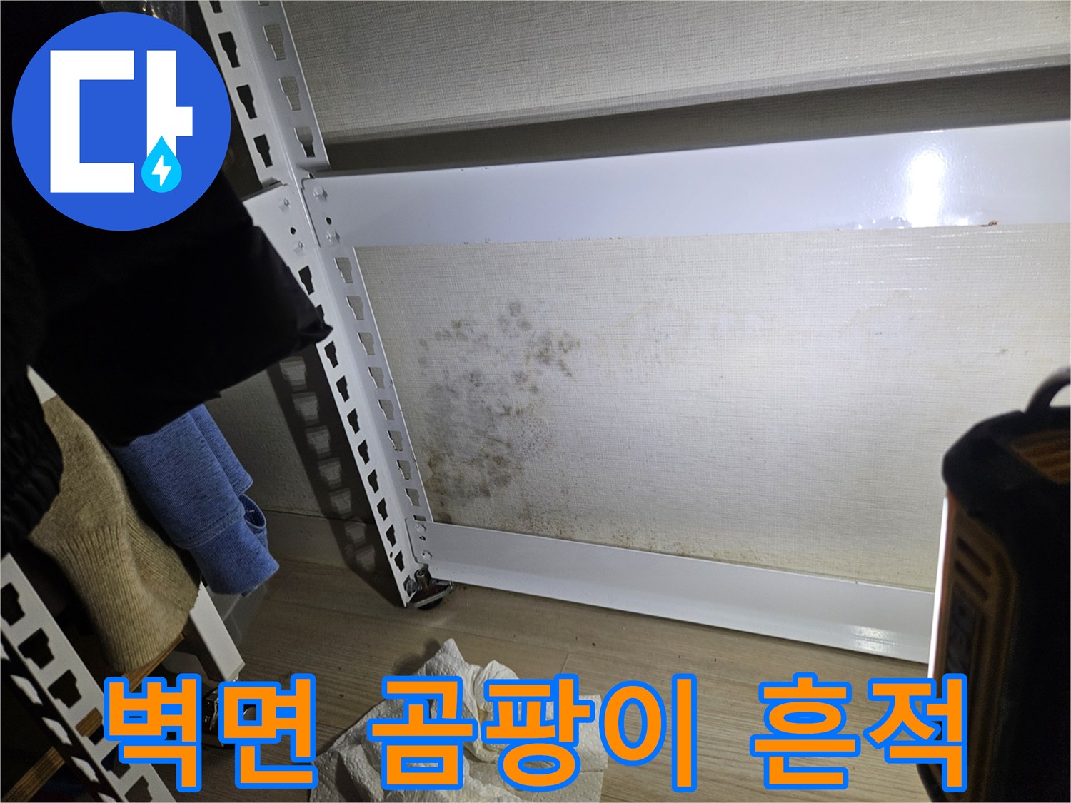 송파구 석촌동 현장의 벽지 곰팡이 및 습기 흔적 사진