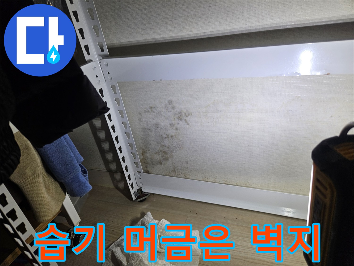 습기로 인해 곰팡이가 번진 벽면의 상세 모습