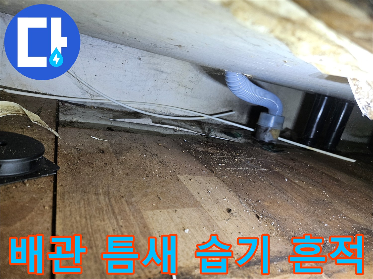 파란색 배관 자재와 벽체 관통 부위의 노후 상태 점검