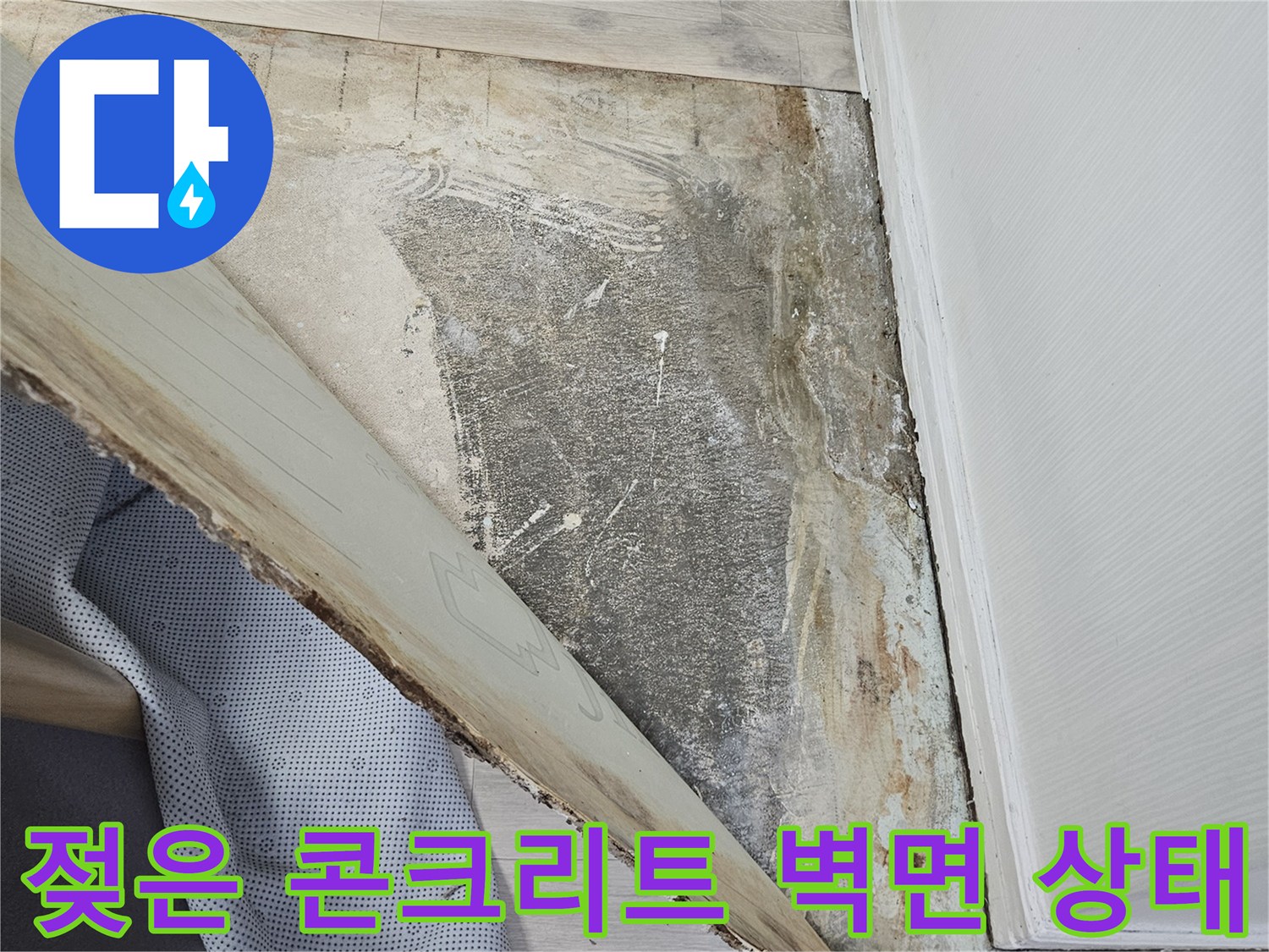 용인 수지구 현장-침수로 인해 변색된 벽체 하단부