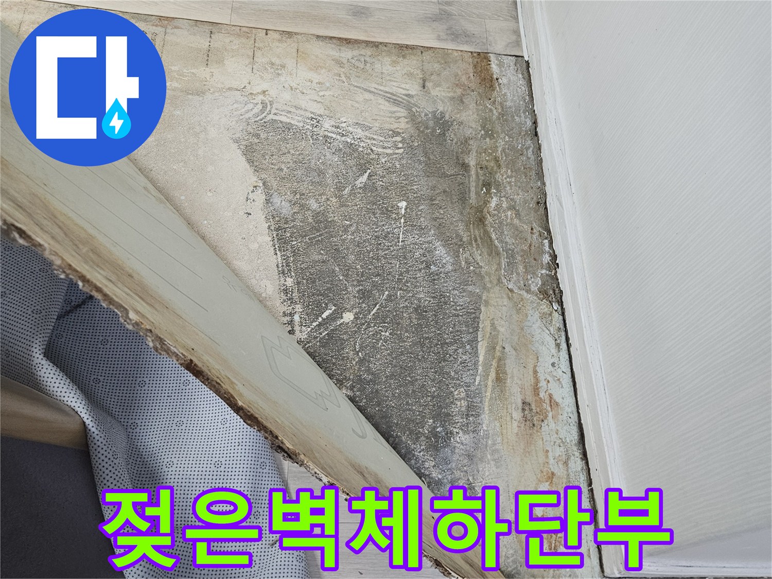죽전동 현장의 물샘 흔적이 남은 벽체 하단 부위