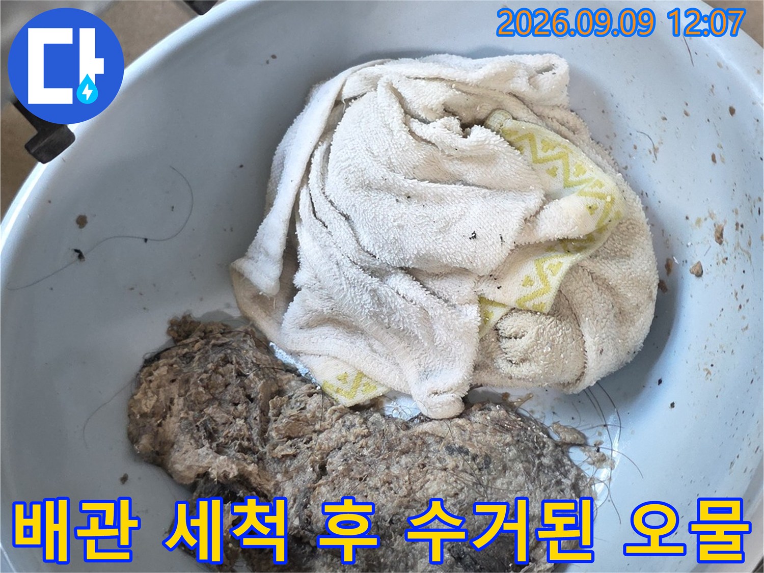 배관 내부에서 추출되어 대야에 담긴 머리카락과 슬러지 덩어리