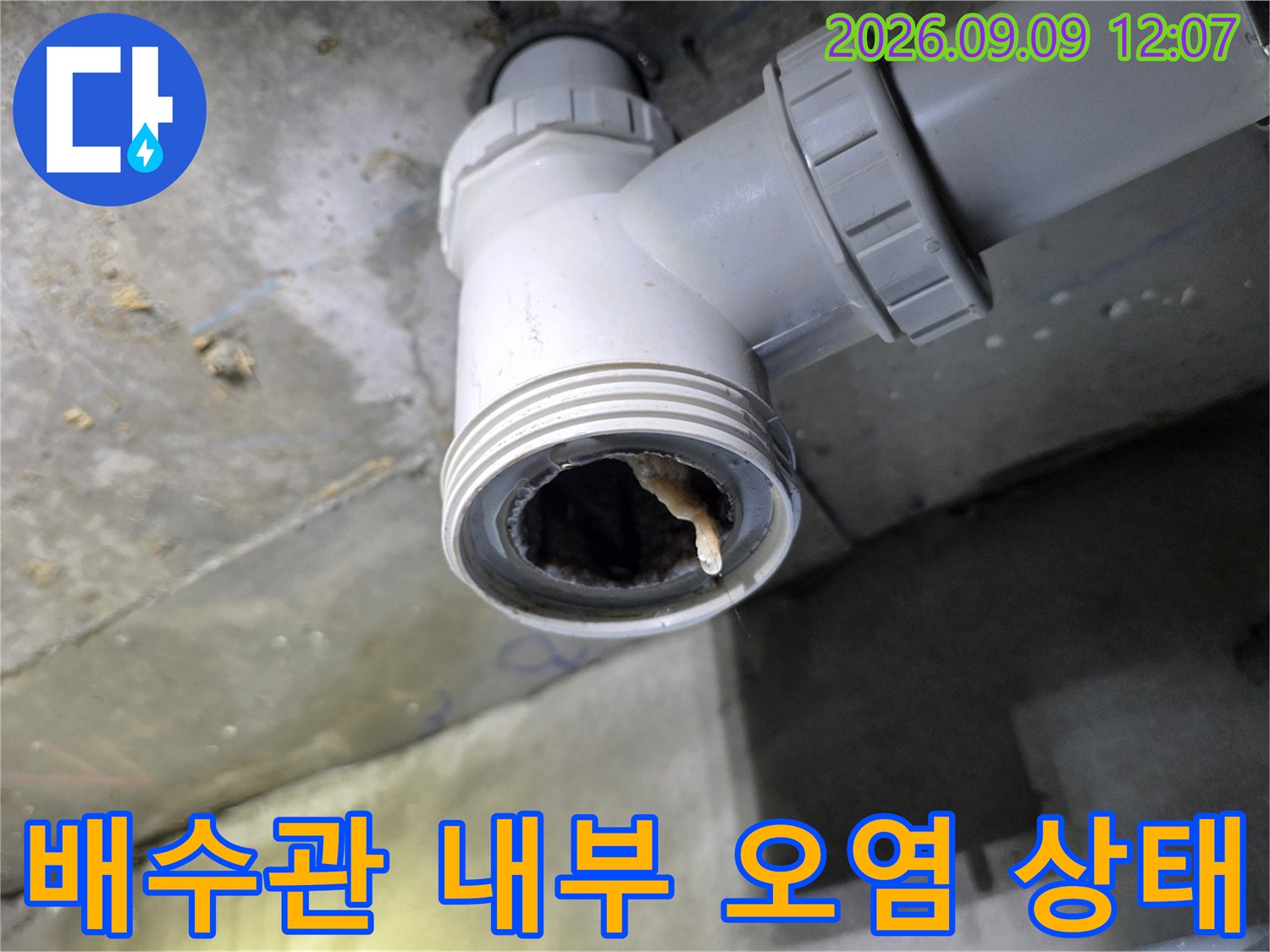 배수 배관 내부에 가득 찬 머리카락과 슬러지 덩내