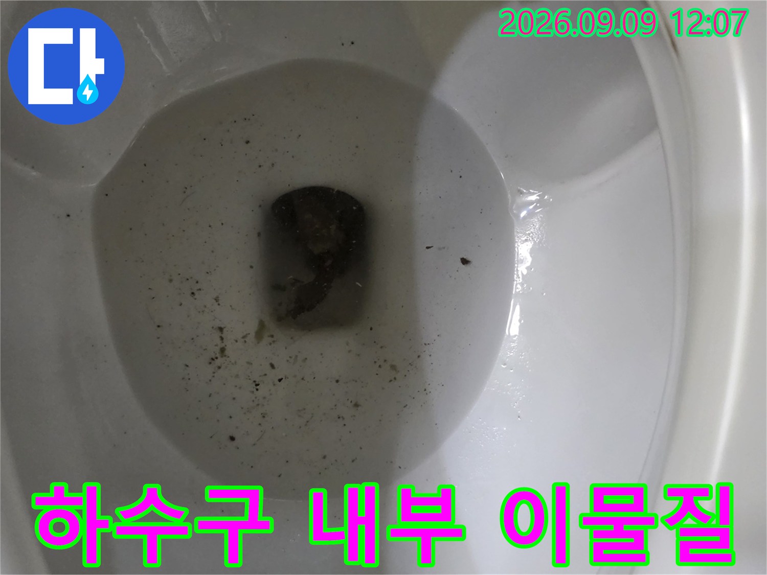 배수관 입구에 뭉쳐 있는 검은색 오염 물질과 슬러지