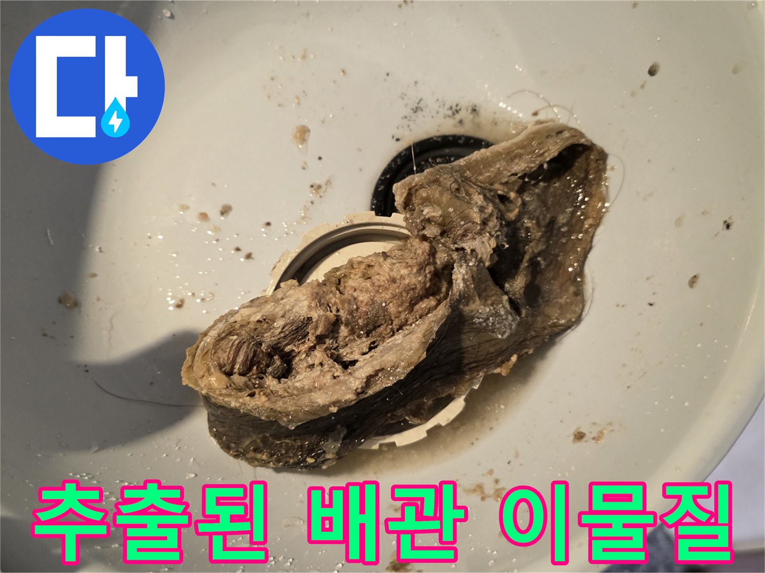 배수구-막힘의-직접적인-원인이-된-오물-덩어리