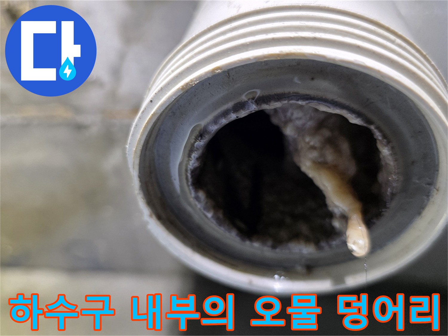 이물질-퇴적으로-막힌-배수관-입구