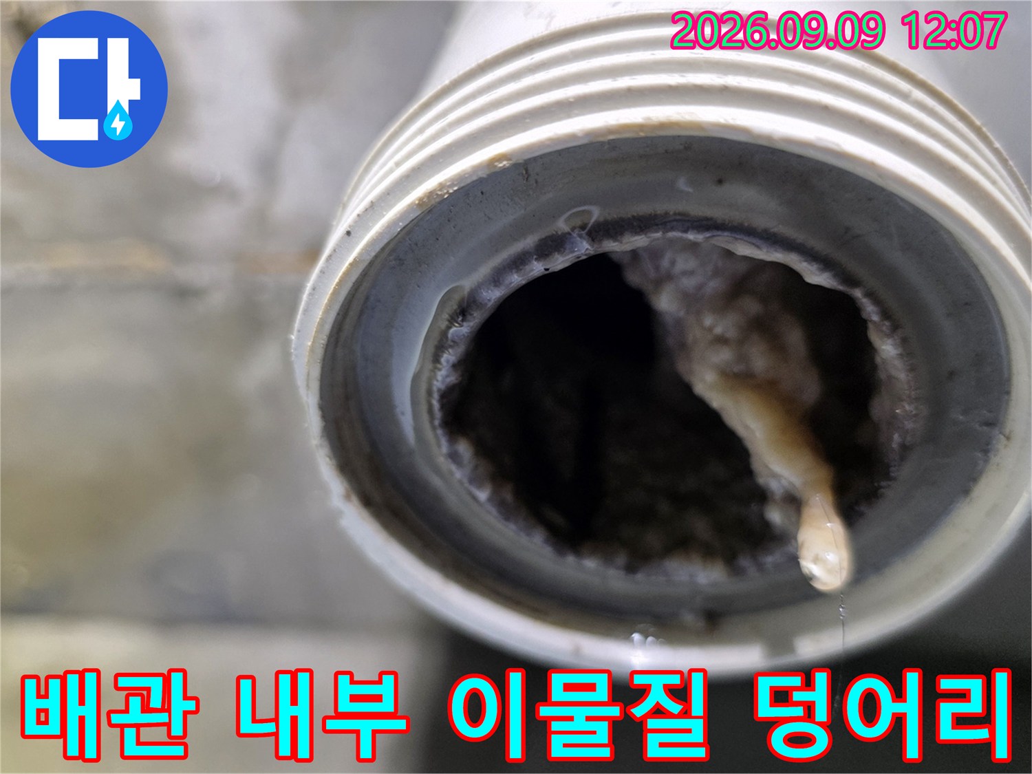 하수구 배관 내부에 축적된 슬러지와 오염 물질 모습입니다.