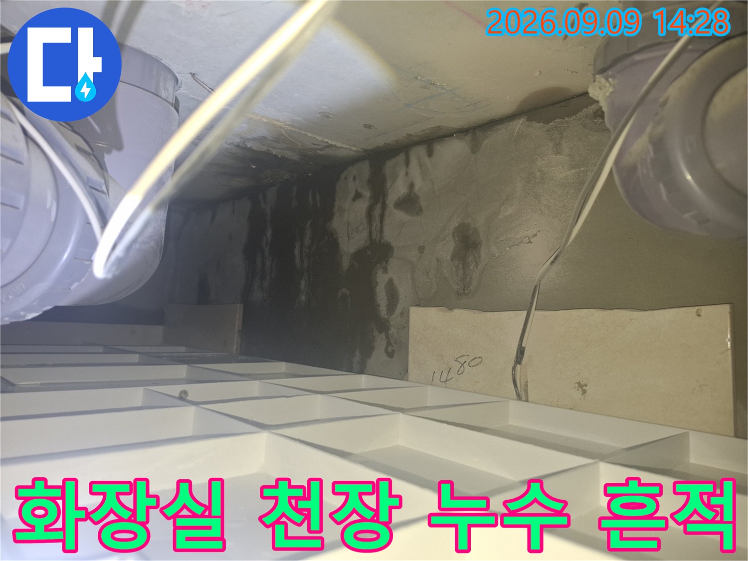 양주 삼숭동 아파트 화장실 내부의 배관 주변에 발생한 검은색 누수 얼룩과 습기 상태