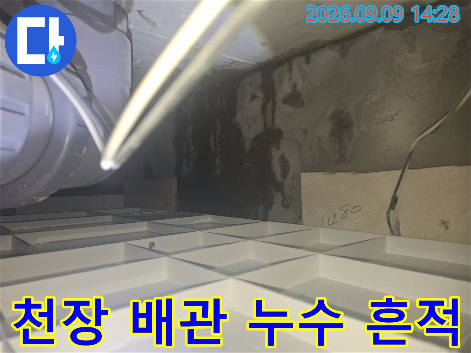양주 삼숭동 화장실 천장 내부의 배관 주변 물 얼룩과 오염 상태