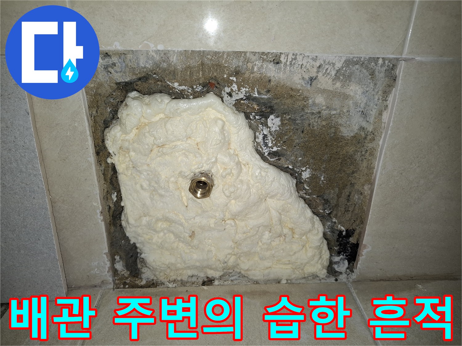 축축하게 젖은-천장 콘크리트 내부 모습