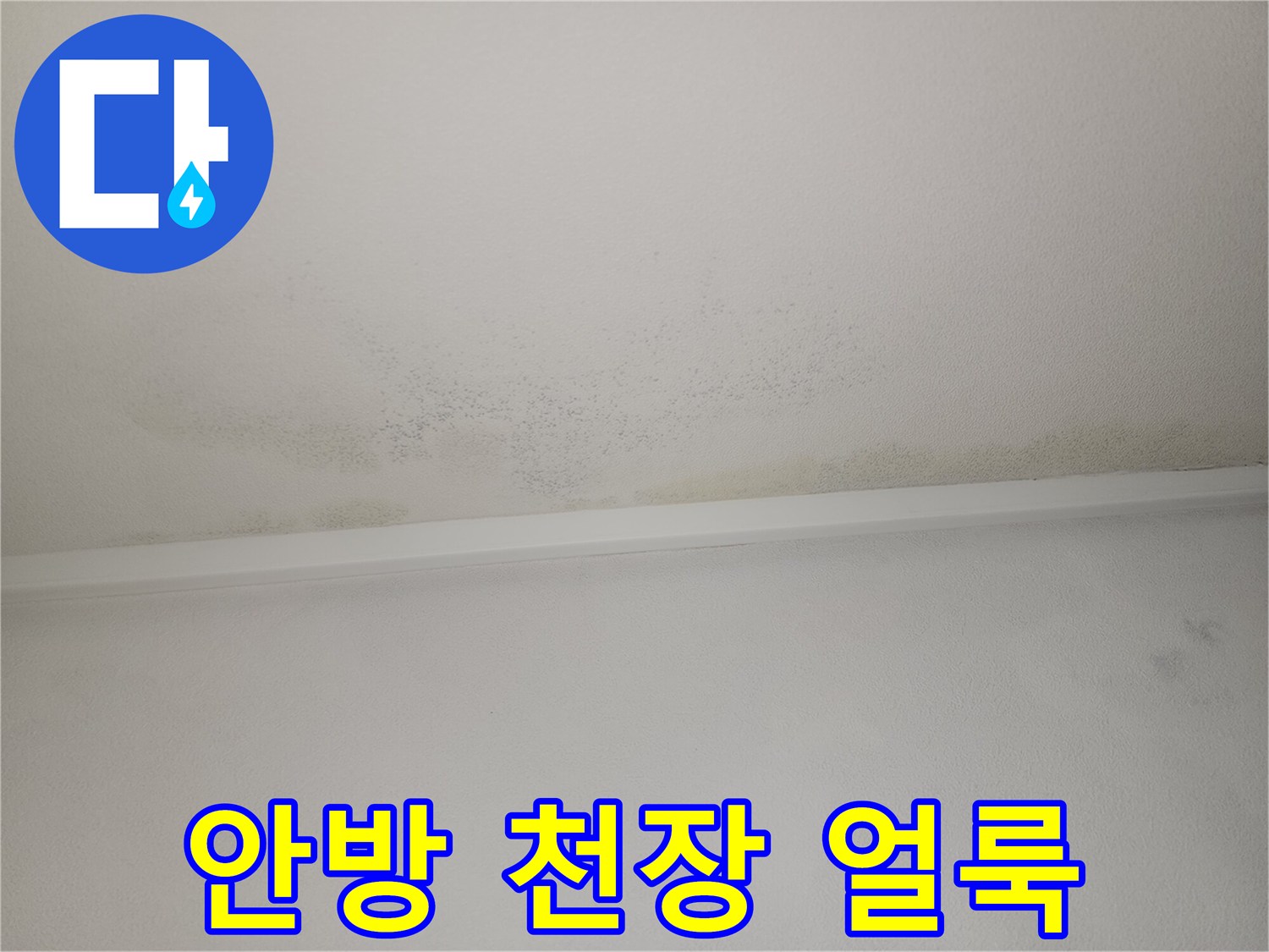 천장 면에 나타난 불규칙한 모양의 물자국 흔적