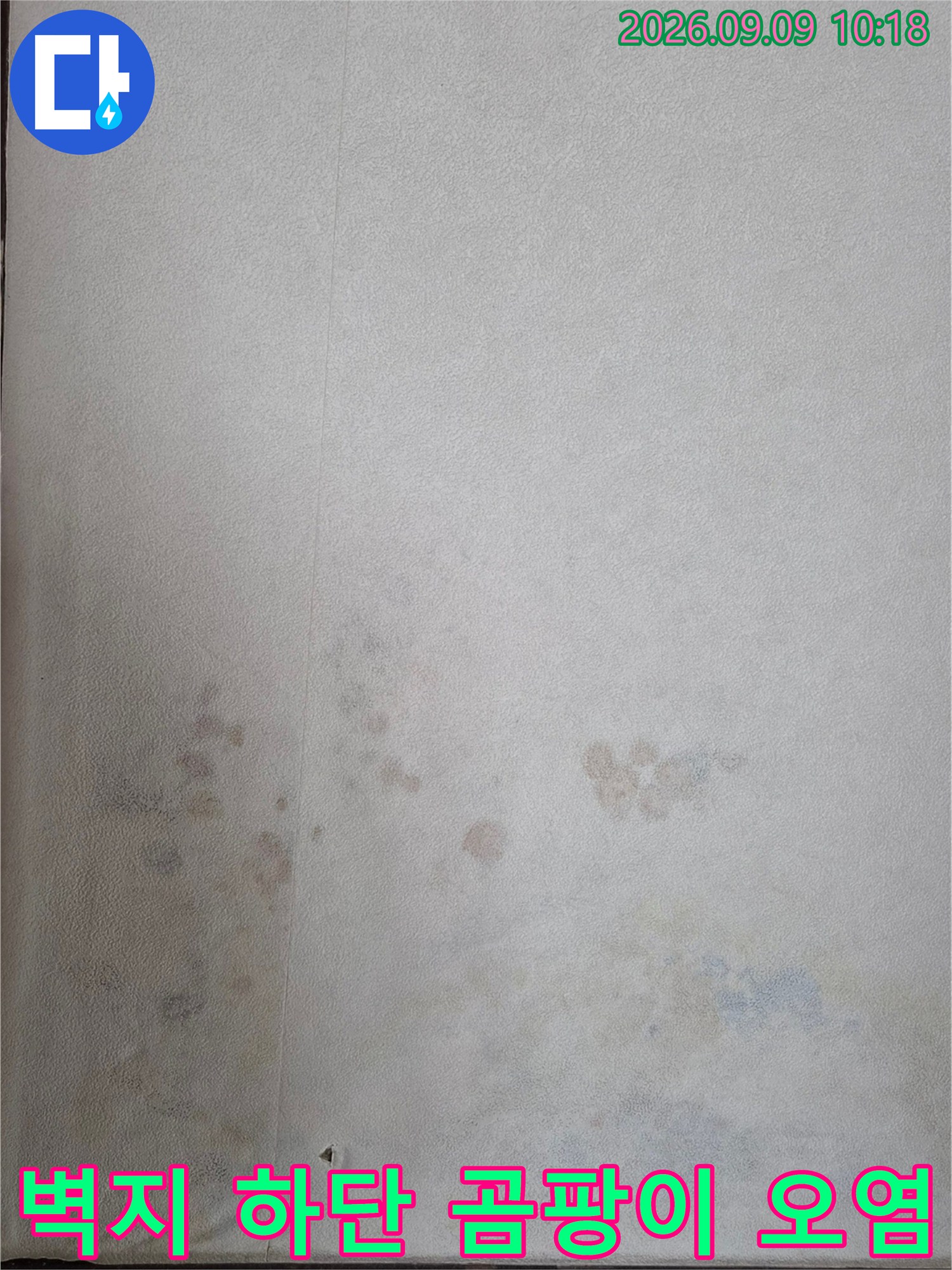 벽지 하단에 발생한 습기와 곰팡이의 얼룩진 모습