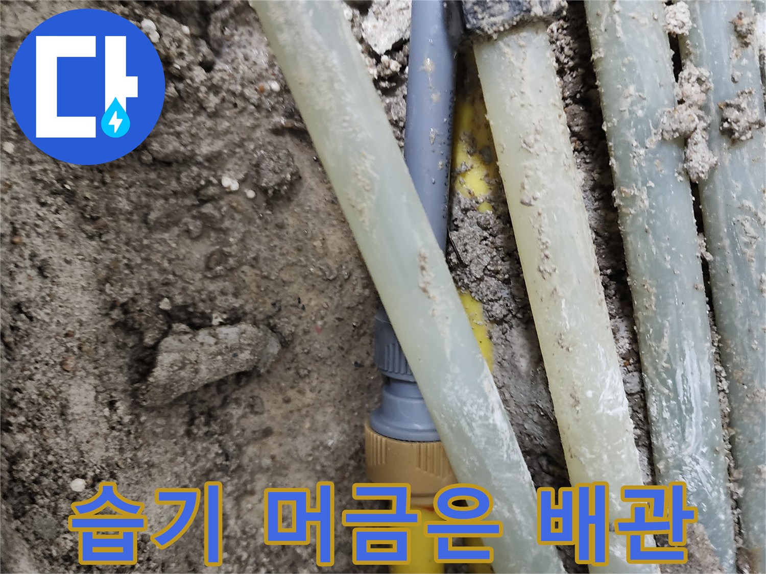 흙과 함께 노출된 온수 및 급수용 관로 사진