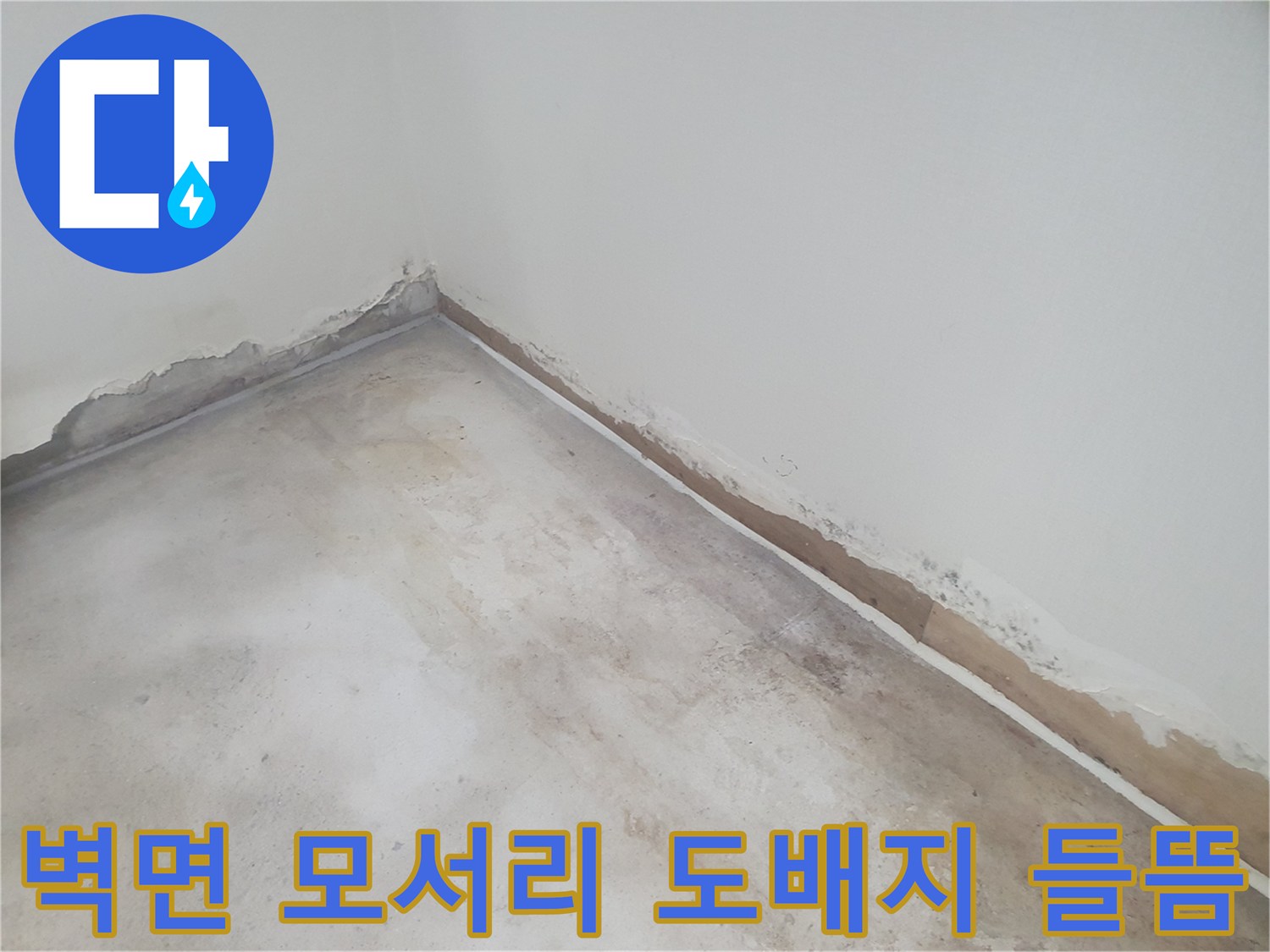 축축하게 젖어 있는 벽지 하단-방바닥 모서리를 따라 습기가 번진 모습입니다.