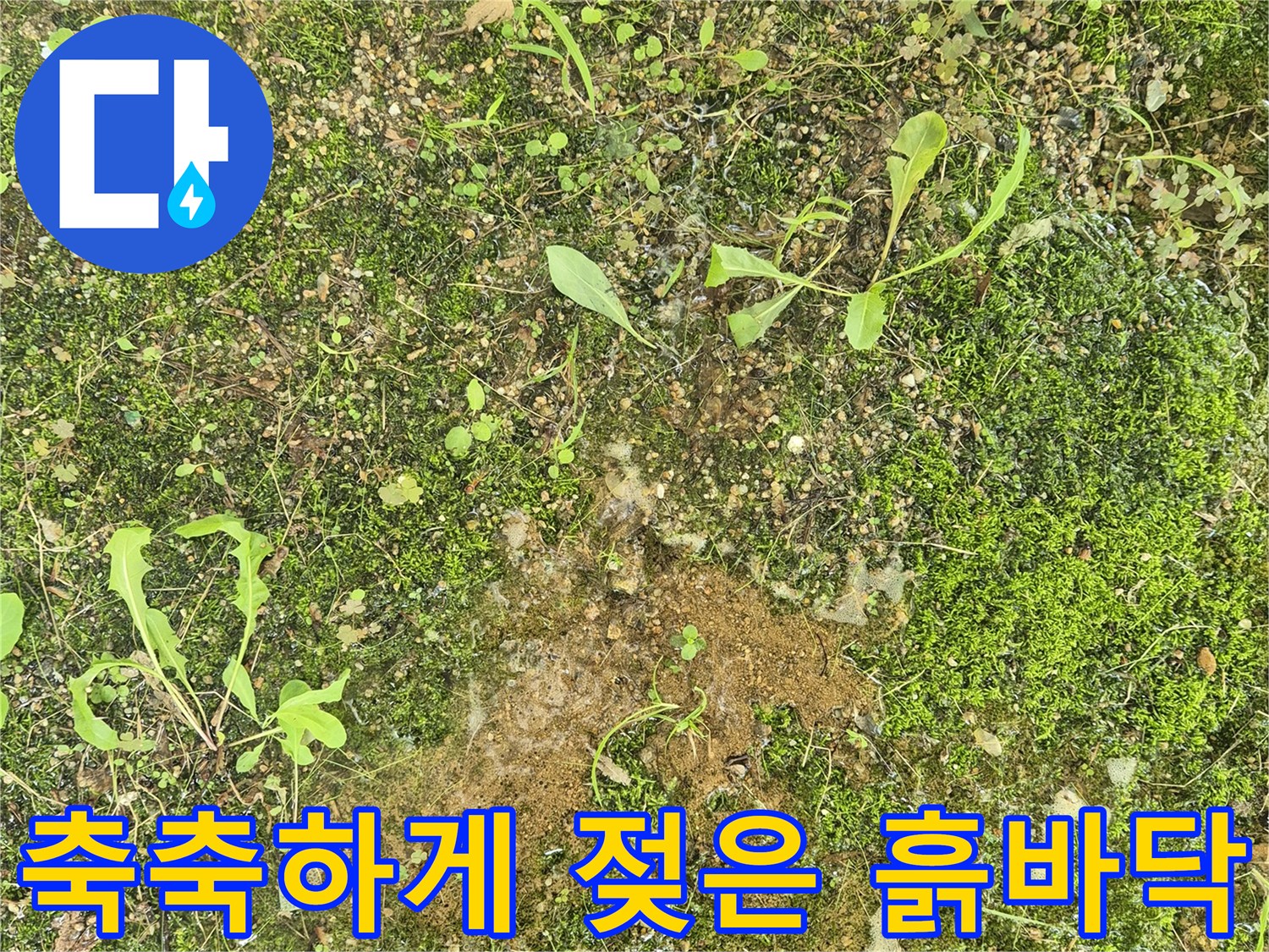 습기로-인해-축축해진-지하-바닥-토양