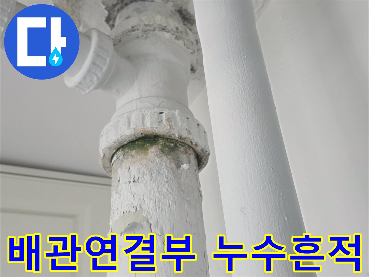 배관-연결부-주변의-곰팡이와-페인트-박리-상태