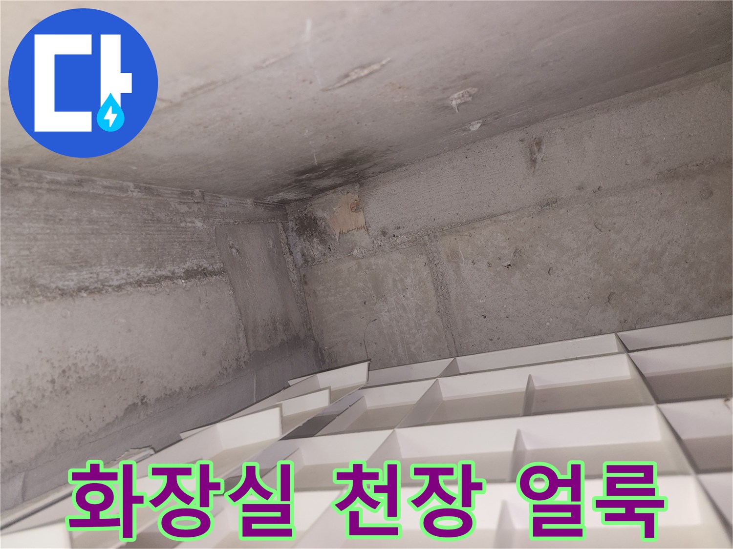 화장실-천장-벽면의-젖은-얼룩-상태