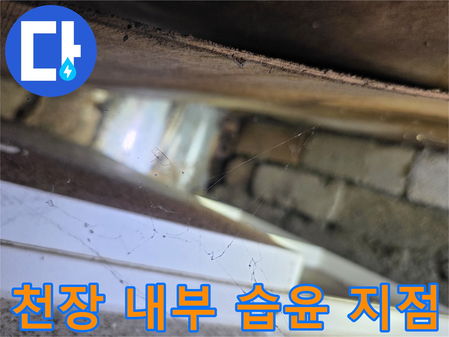 서초구 양재동-천장 구조물 사이의 배관 주변 물기