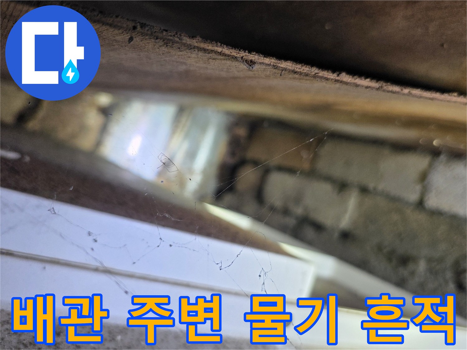 양재동 누수 현장-배관 연결부 주위의 젖은 콘크리트 표면