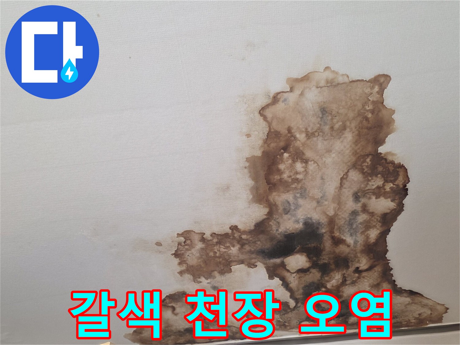 천장 마감재의 누수 침투 흔적 사진