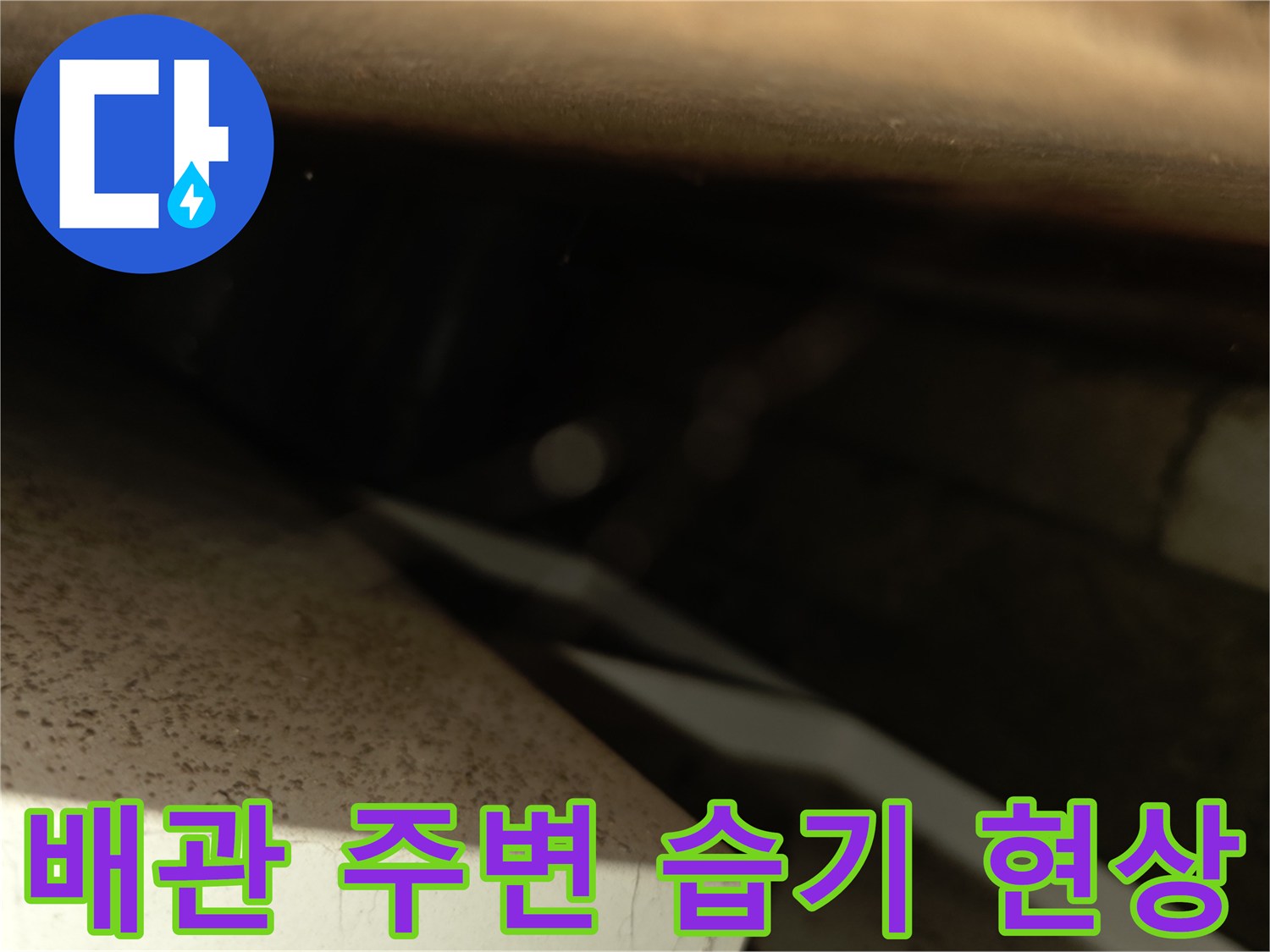 천장 텍스 사이로 보이는 젖은 구조물 사진
