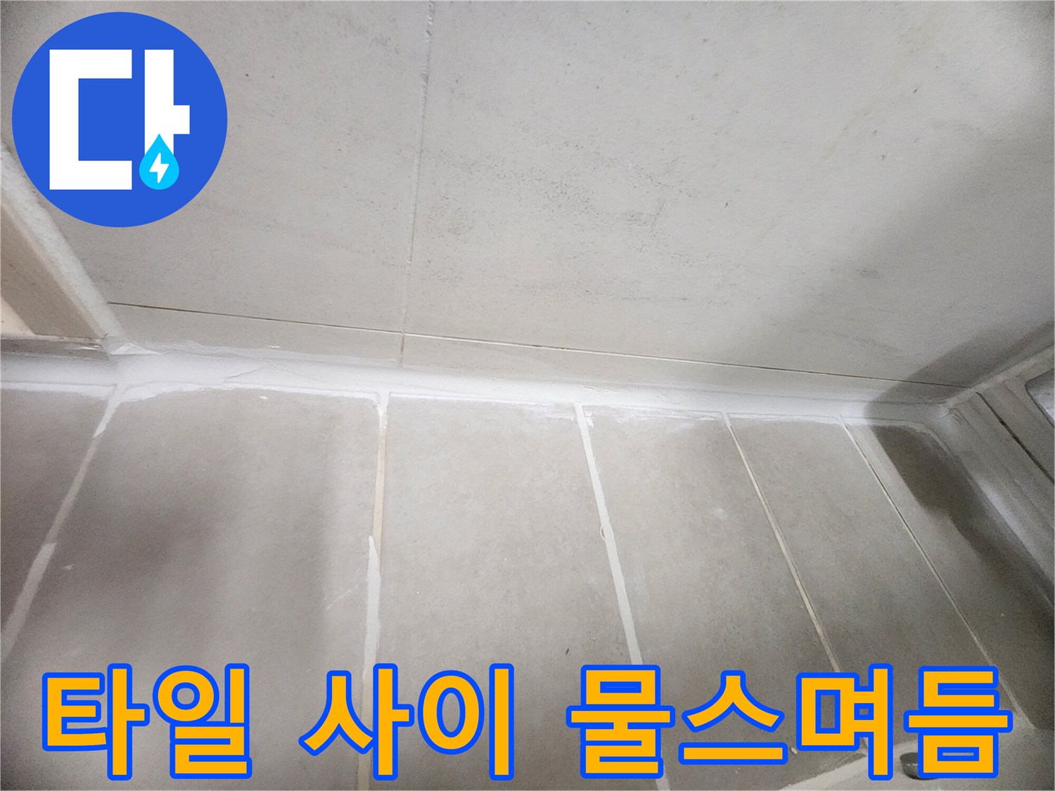 은평구 현장-물기가 스며든 타일 줄눈 부위