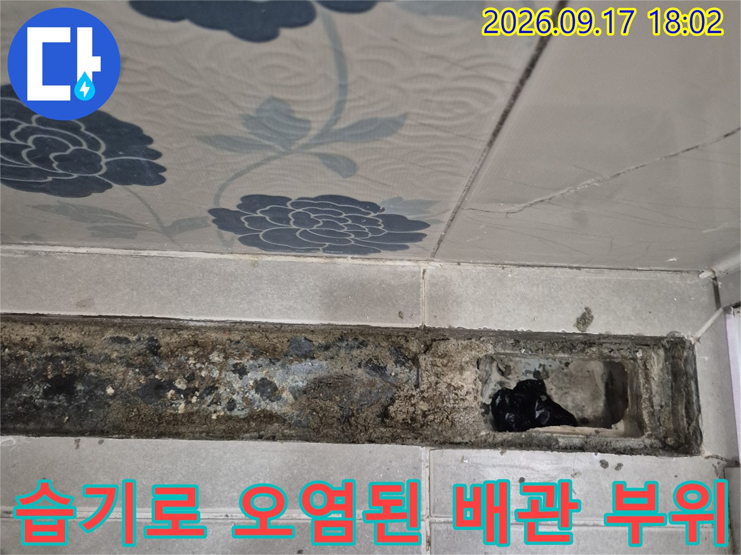 누수로 인해 습기가 침투하여 검게 변한 배관 주변 자재 상태