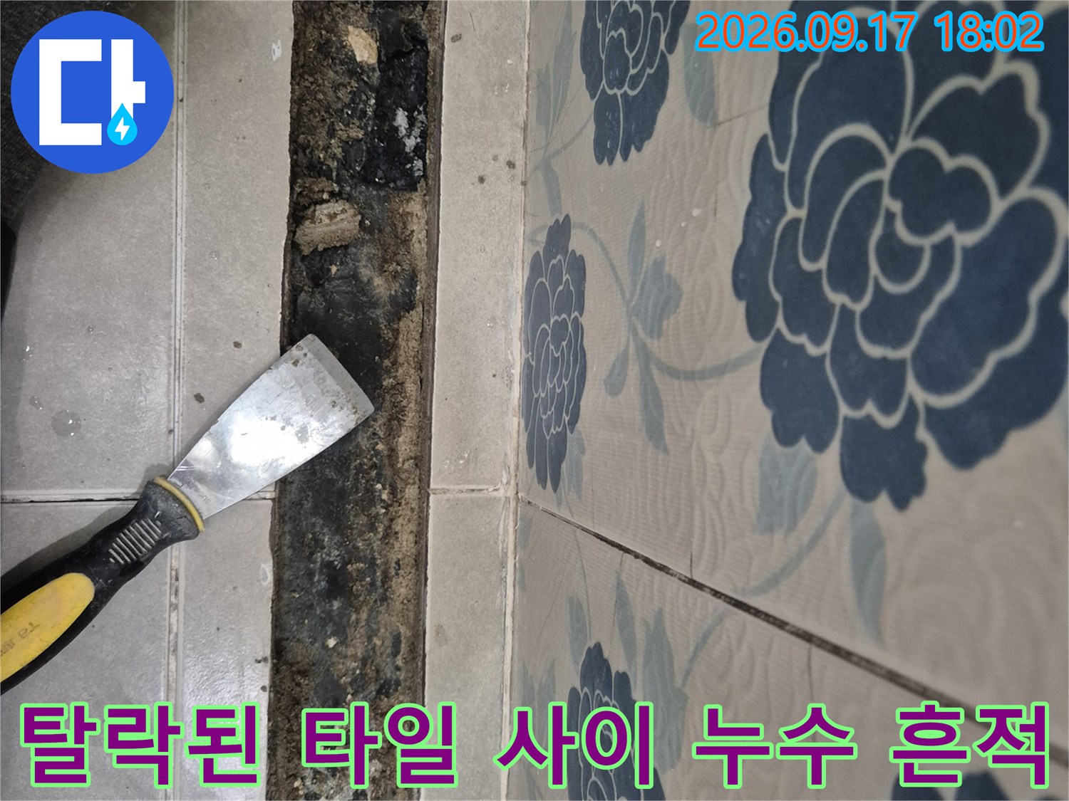 틈새가 벌어진 욕실 타일 아래의 오염된 내부 구조물