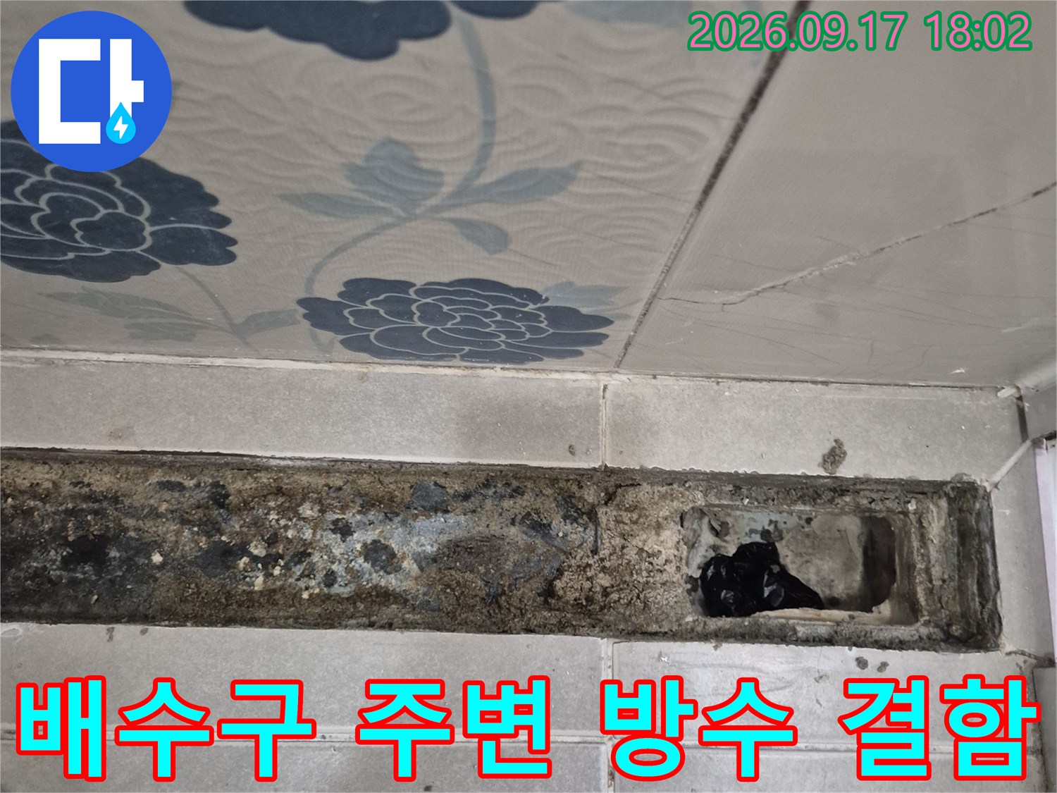 화성시 반송동 욕실 배수 트랩 주변의 노후된 방수층과 오염된 배관 부위