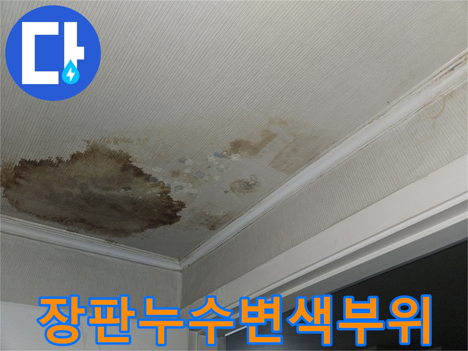 거실 창틀 하단 장판의 갈색 누수 흔적과 오염